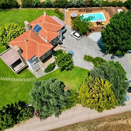 Polyxeni Lavender 150m From The Sea Villa