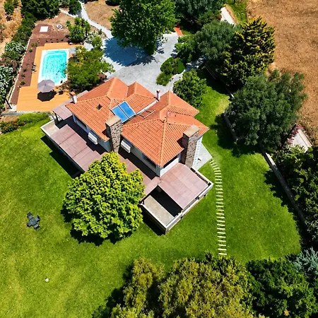 Polyxeni Lavender 150m From The Sea Villa *