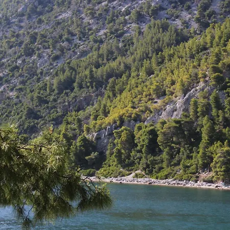Polyxeni Lavender 150m From The Sea